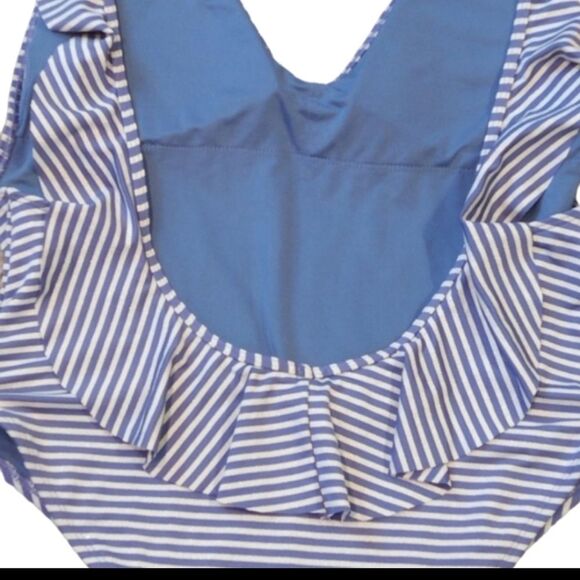 Aerie Metallic Stripe Ruffle Swimsuit - Picture 5 of 8